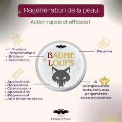 Projet Baume du Loup