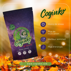 Coginko goût Univers® 30 jours