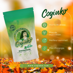 Coginko goût Menthe 30 jours